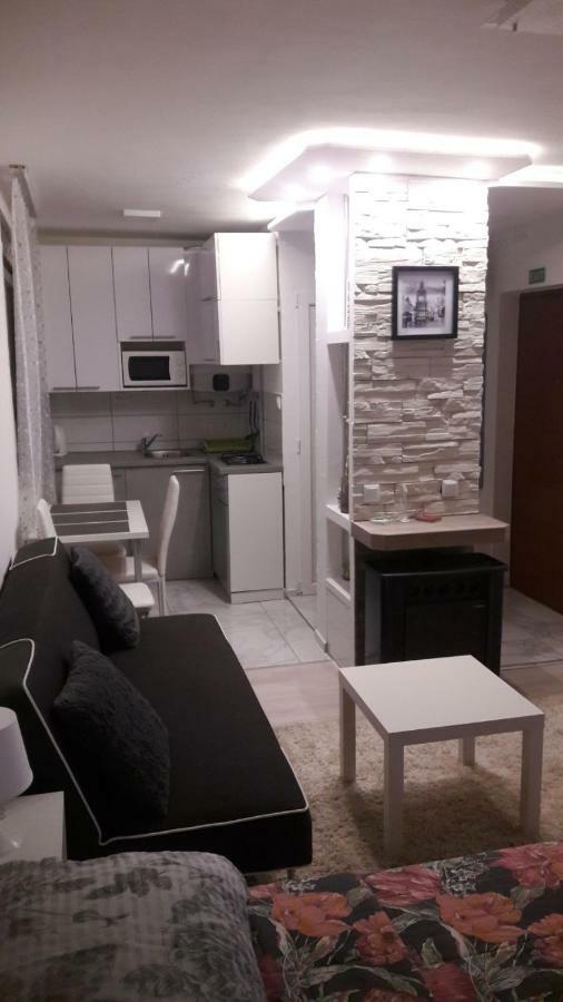 Studio Apartman Marija Ζάγκρεμπ Εξωτερικό φωτογραφία